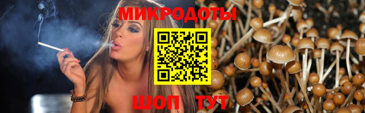 Армавир  Псилоцибиновые грибы ЛСД  Псилоцибиновые грибы Cubensis  Вход с VPN 